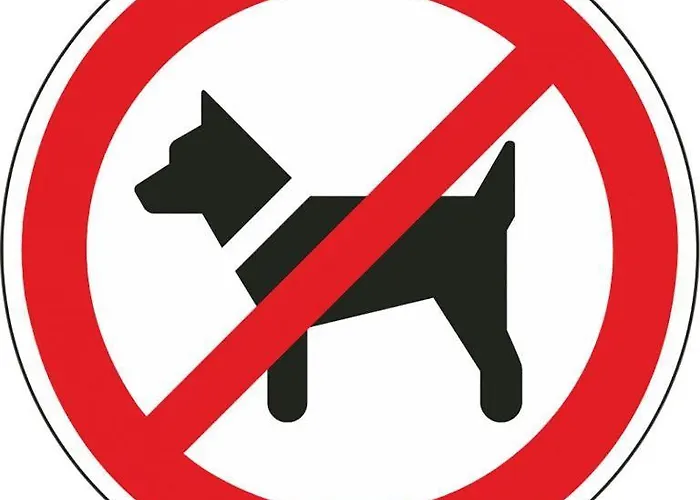 Am Romanus Freibad *