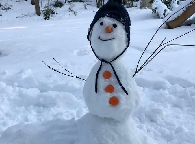 Am Romanus Freibad شقة Siebenlehn
